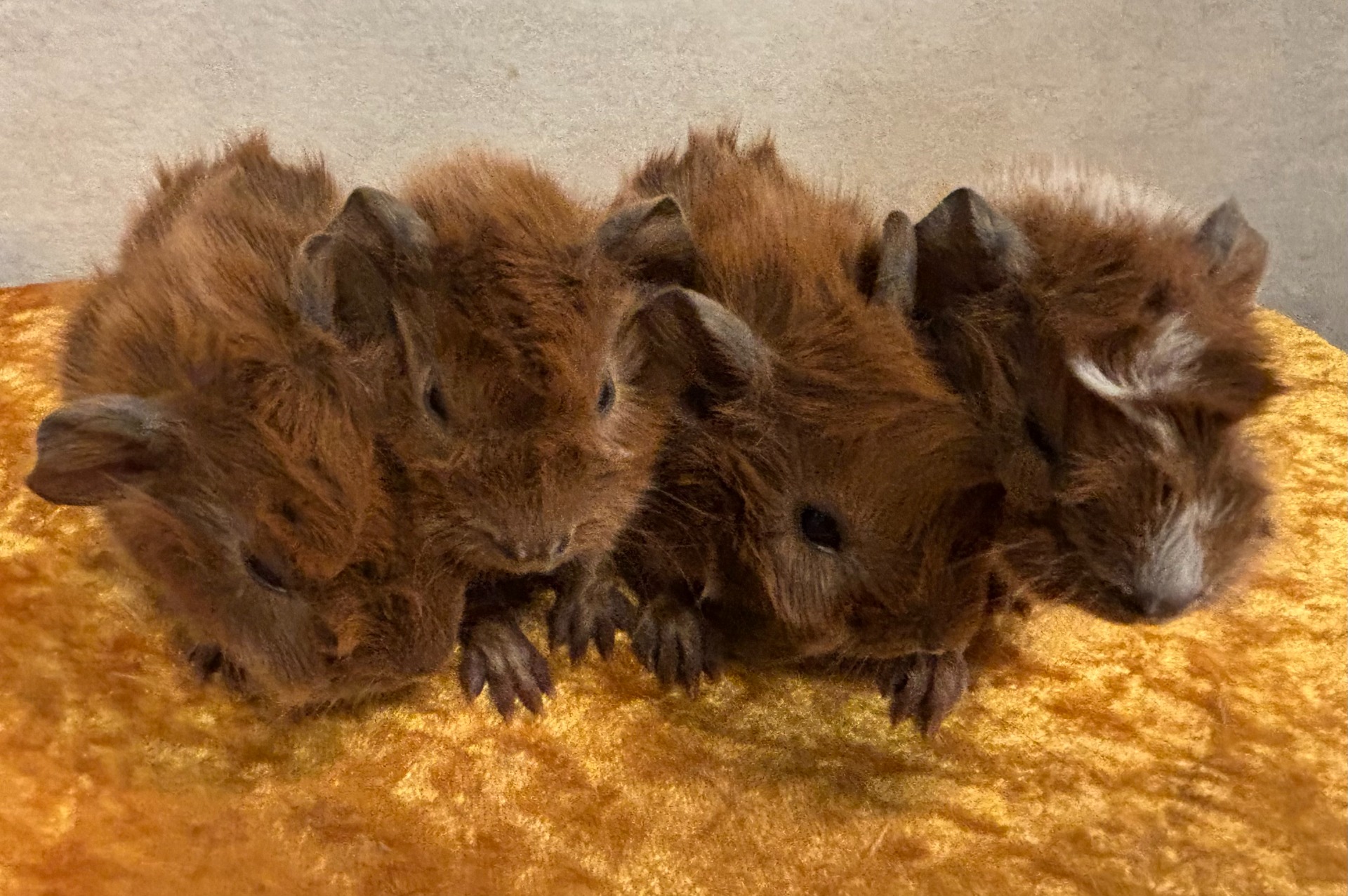 Rosco, Rose och Rosanna